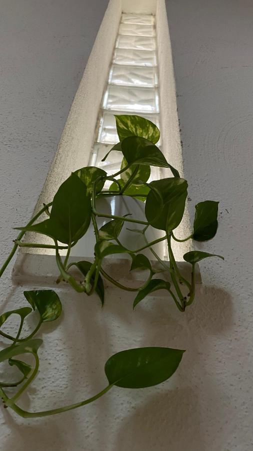 Locanda Le Ginestre Cantalupo in Sabina المظهر الخارجي الصورة